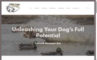 Wild Acre Kennels of Apple Valley