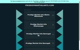 Prodigy Martial Arts of Blaine website