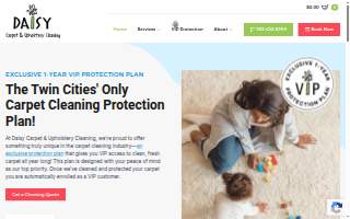 Daisy Carpet & Upholstery Cleaning of Burnsville