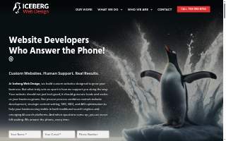 Iceberg Web Design of Coon Rapids