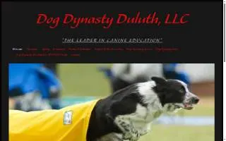 Dog Dynasty Duluth, LLC website