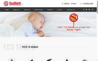 EcoShield Pest Solutions of Eden Prairie