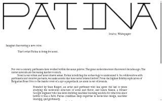 Patina - Eden Prairie website