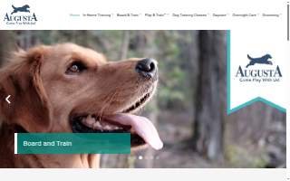 Augusta Dog Training & Doggy Daycare - Edina