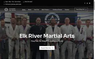 The Academy Elk River website