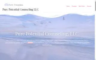 Pure Potential Counseling, LLC. of Farmington website