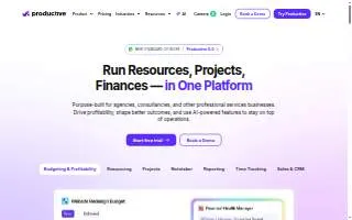 Productive Alternatives, Inc website