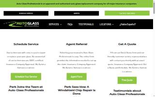Auto Glass Professionals