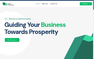 Sabers Consulting