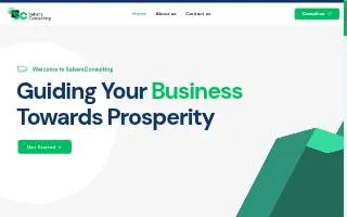 Sabers Consulting website