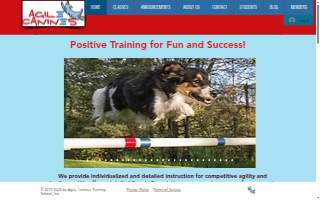 Agile Canines Training School of Hopkins