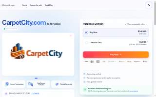 Carpet City