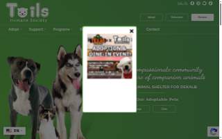 Tails Up Dog Training