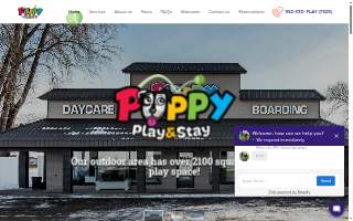 Puppy Play and Stay