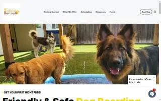 Blaine Kennels Boarding, Training & Daycare website
