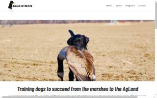 AgLand Retrievers Professional Dog Training
