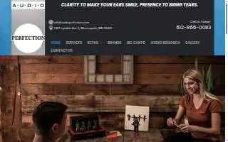 Audio Perfection website