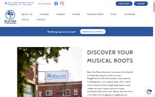 Blue Tree Music Education