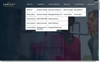 Ambient Consulting website