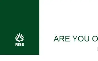 RISE Medical and Recreational Cannabis Dispensary New Hope website
