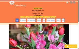 Cedar Floral