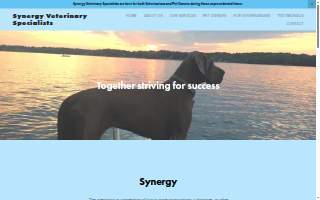 Synergy Veterinary Specialists