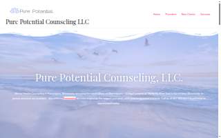 Pure Potential Counseling, LLC. of Rosemount