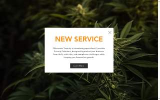 Minnesota Security - Home & Business Security Systems of Savage