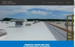 The Roof Guys website