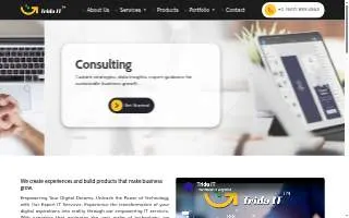 Trida Consulting website
