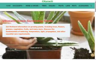Birch Tree Care