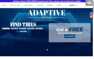 Adaptive Repair
