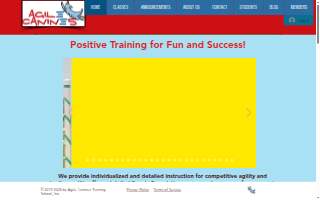 Agile Canines Training School of St. Louis Park