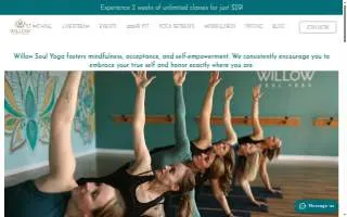 Willow Soul Yoga website