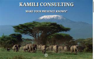 Kamili Consulting