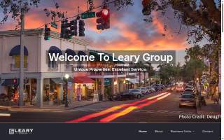The Leary Group