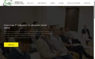 LEM Business Solutions website