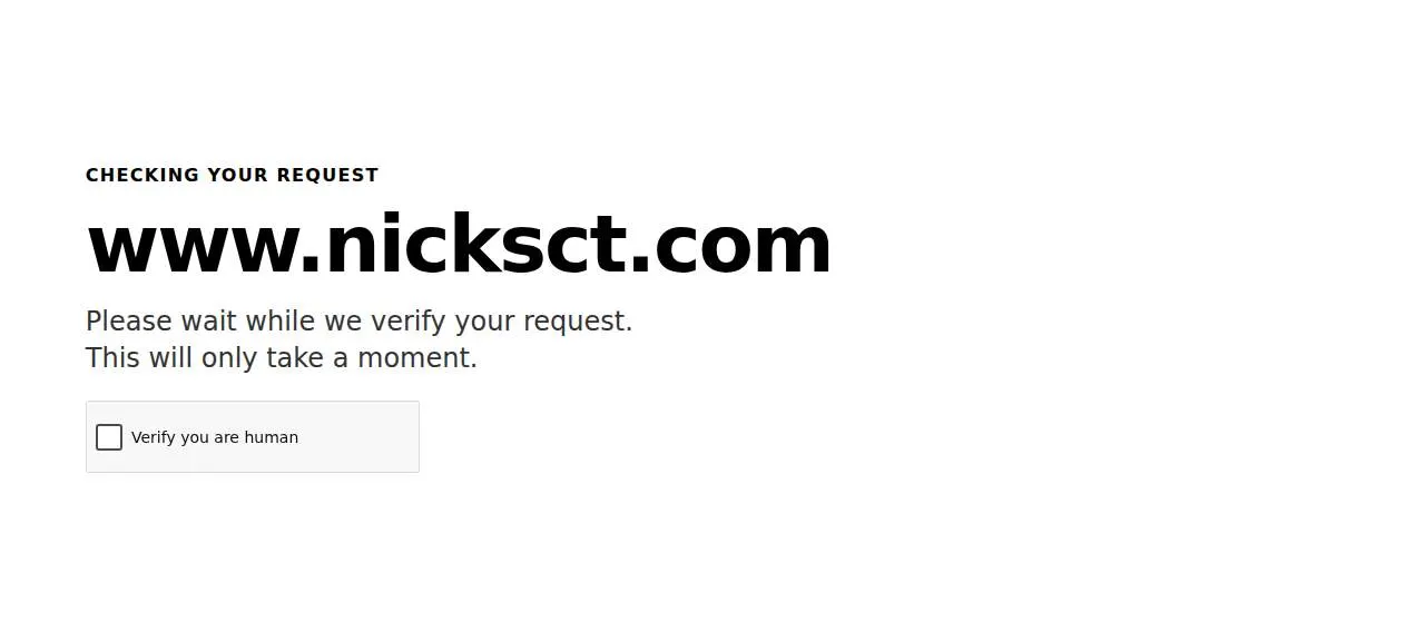 Nicks Car Wash Service website