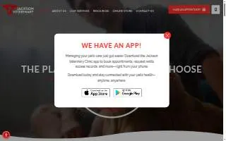 Jackson Veterinary Clinic website