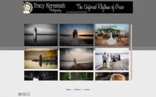 Portraits By Tracy website