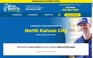 Blue Beetle Pest Control