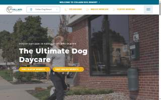 Collars Dog Resort