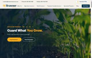 Brawner Insurance