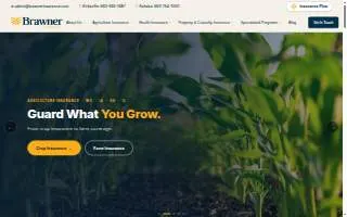 Brawner Insurance website