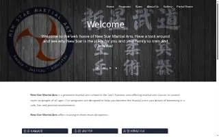 New Star Martial Arts website