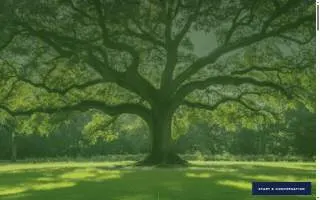 Oak Road Wealth Management of Lees Summit website