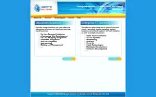 Liberty IT Solutions Inc website