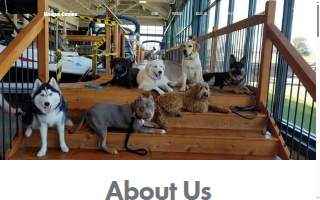 Unique Canine, LLC of Liberty