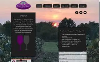 Twin Meadows Winery website