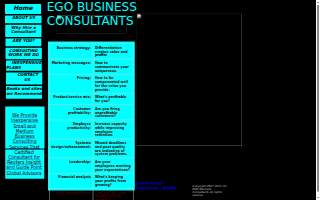 EGO Business Consultants